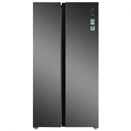 Tủ Lạnh Electrolux Inverter 624 Lít ESE6600A-AVN (Sản phẩm trưng bày)
