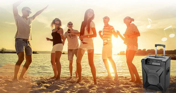 TOP 3 loa kéo có mức giá phải chăng đang bán tại Điện Máy Chợ Lớn