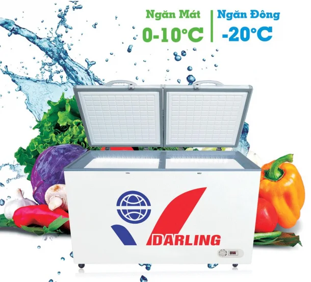 Nên mua tủ đông loại nào tốt? Tư vấn mua tủ đông gia đình