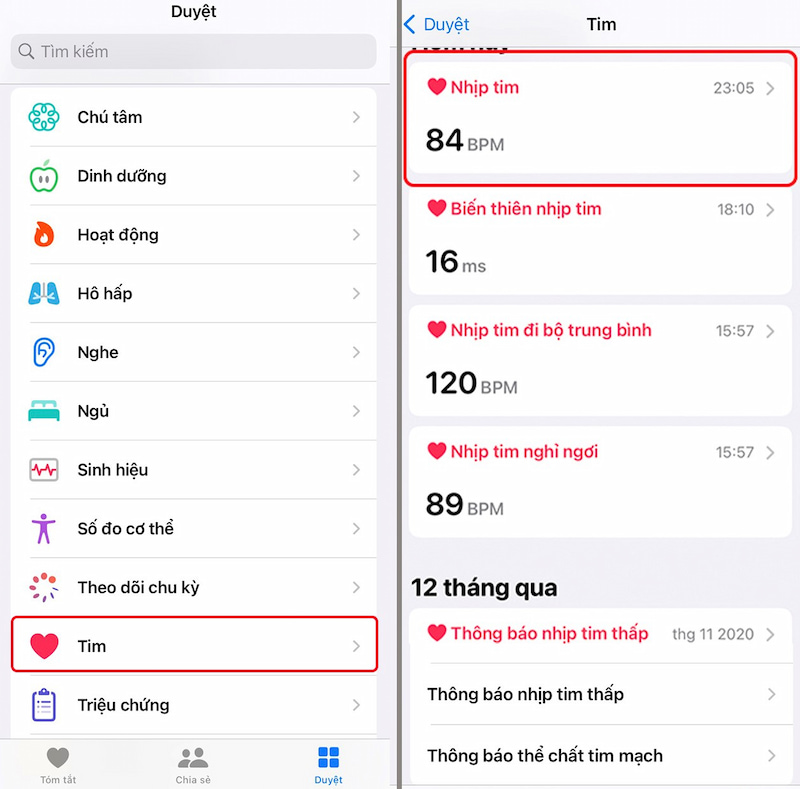 Theo dõi thống kê nhịp tim trên điện thoại iPhone