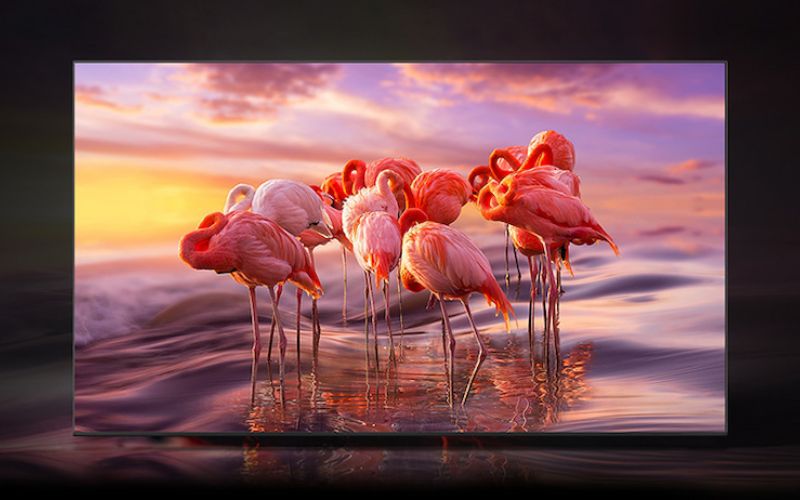 Hình ảnh với màu sắc chân thực từ Smart Tivi QLED 4K Samsung 75 Inch QA75Q70B