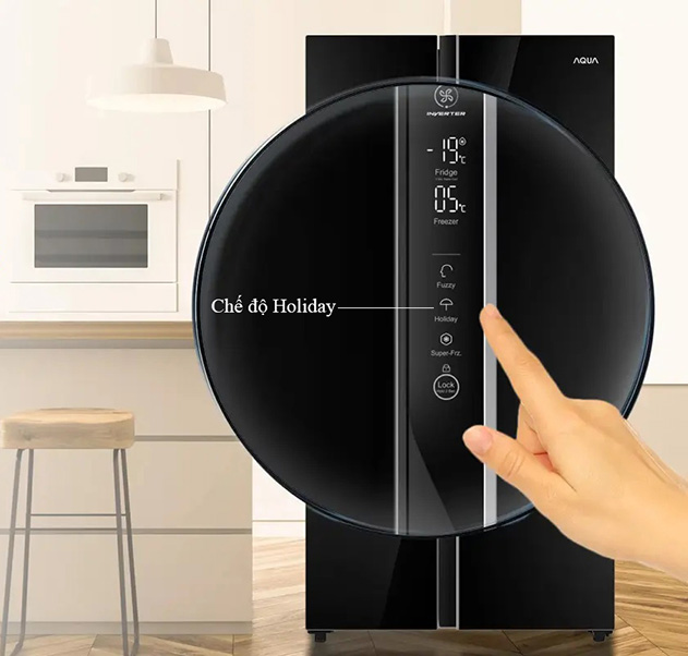 Chế độ ngày nghỉ Holiday giúp tủ lạnh không phát sinh nấm mốc hay mùi hôi khó chịu khi không sử dụng trong thời gian dài.
