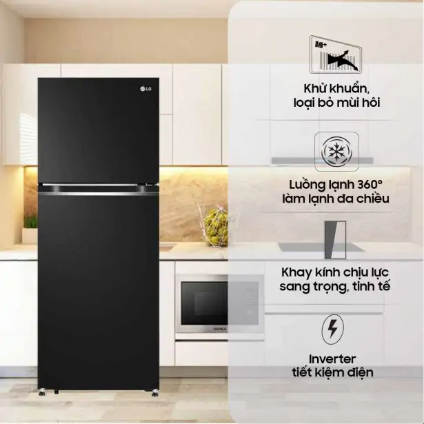 Tủ Lạnh LG Inverter 217 Lít GV-B212WB