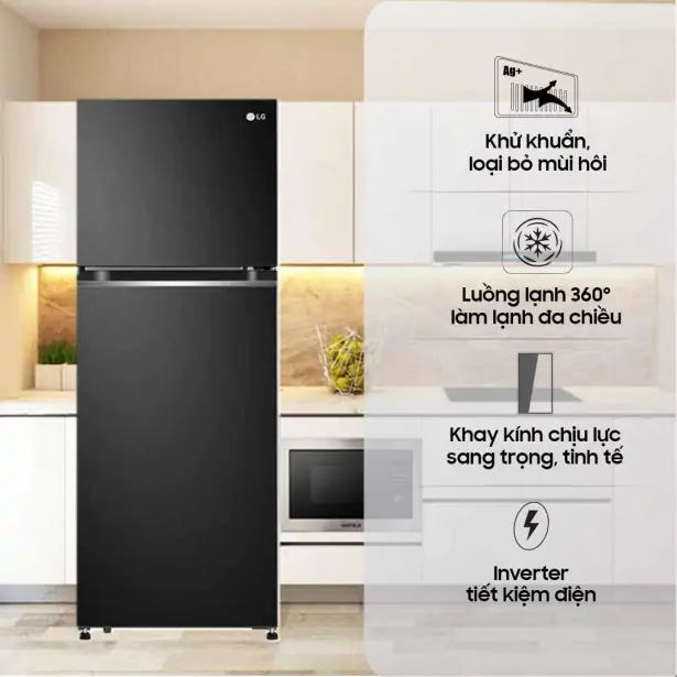 Tủ Lạnh LG Inverter 243 Lít GV-B242BL