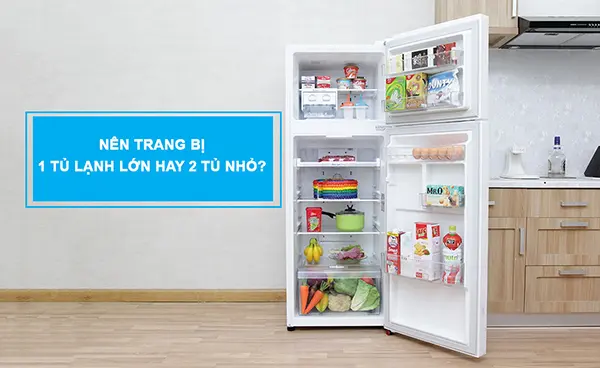 Nhiều thực phẩm cần bảo quản, nên trang bị 1 tủ lạnh lớn hay 2 tủ nhỏ?