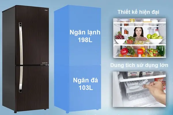 Là người tiêu dùng sành điệu, bạn có biết cách phân biệt các dòng tủ lạnh qua tên gọi?