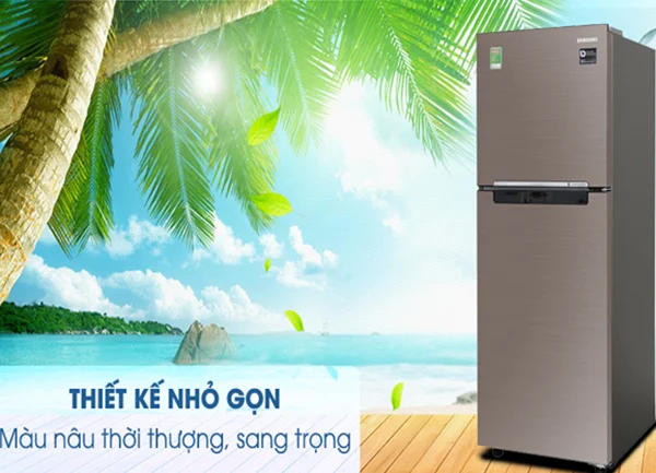 Top 5 tủ lạnh Samsung bán chạy nhất tháng 8/2020 tại Điện Máy Chợ Lớn