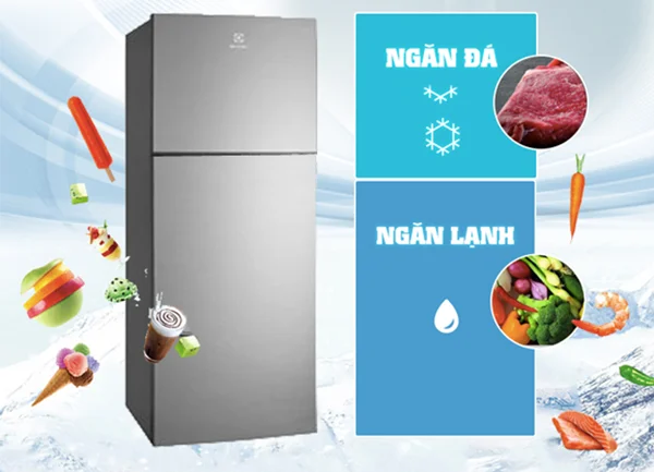 Tủ lạnh Electrolux thương hiệu của nước nào? Có nên mua không?