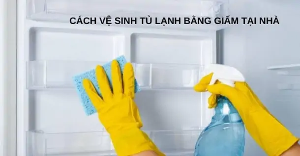 Hướng dẫn cách vệ sinh tủ lạnh bằng giấm tại nhà