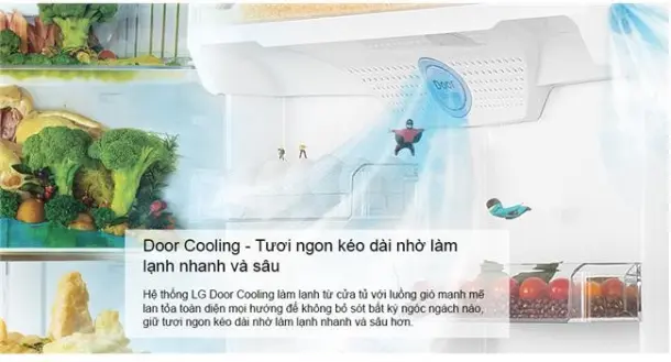 Công nghệ Door Cooling trên tủ lạnh LG là gì?