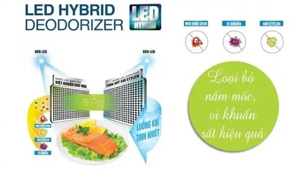 Tìm hiểu về công nghệ khử mùi diệt khuẩn LED Hybrid trên tủ lạnh Toshiba