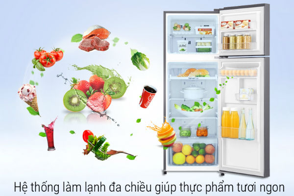 Tủ Lạnh LG Inverter 187 Lít GN-L205S
