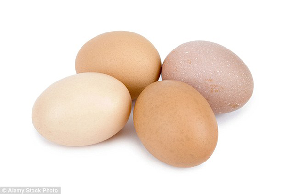 Thực phẩm thích hợp bảo quản: Trứng, đồ ăn liền