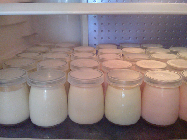 Cách làm sữa chua milo dẻo mịn, thơm ngon đơn giản tại nhà
