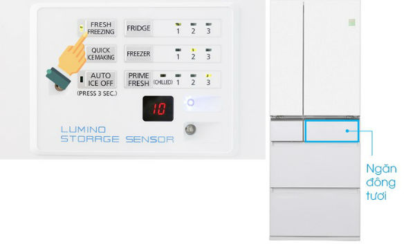 Bạn nhấn nút "Fresh Freezer" để bật tắt chế độ làm đông ngăn tươi