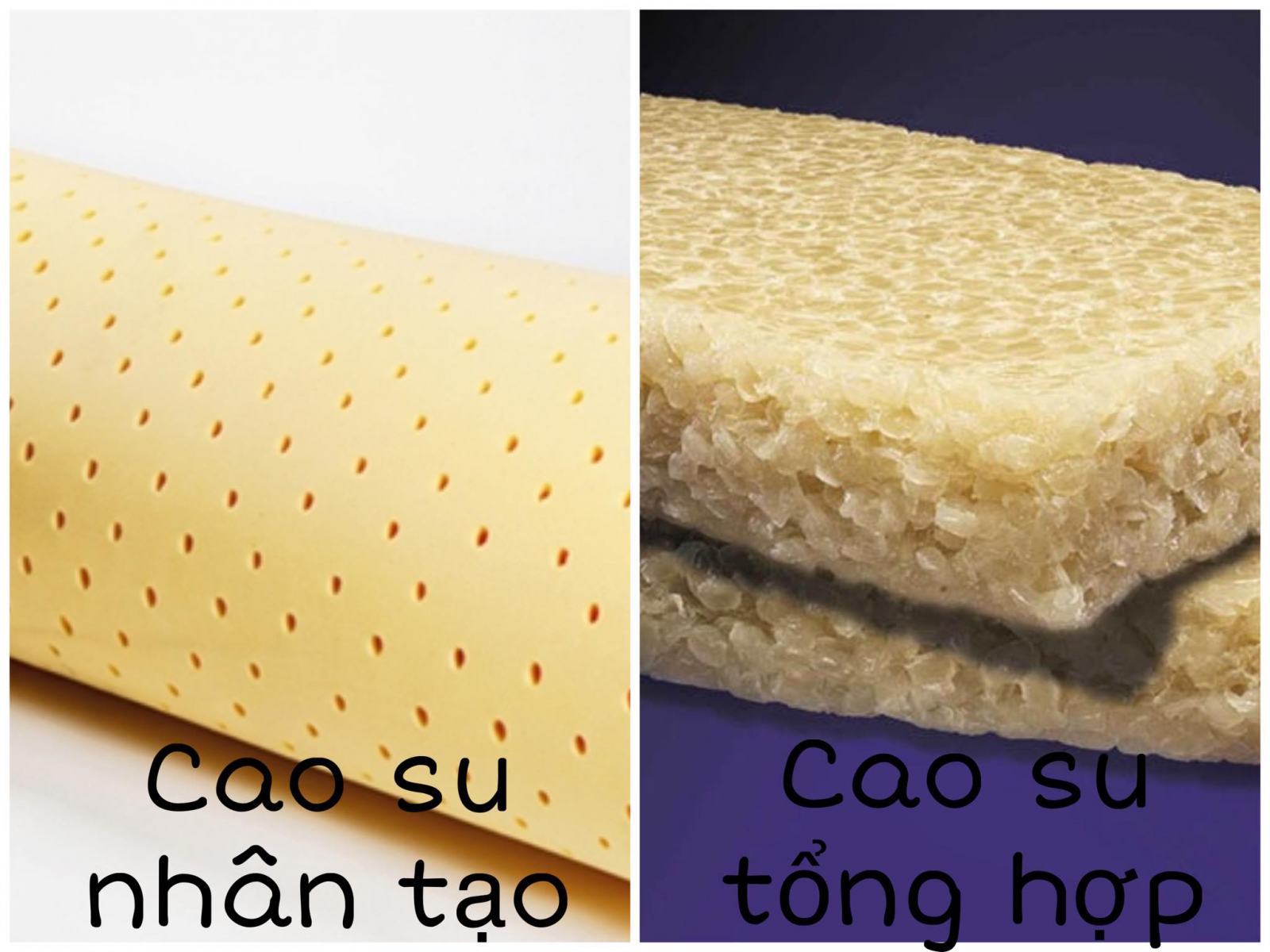 nem-cao-su-tong-hop
