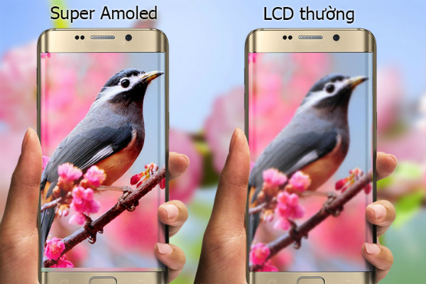 So sánh 2 công nghệ màn hình IPS và Super AMOLED
