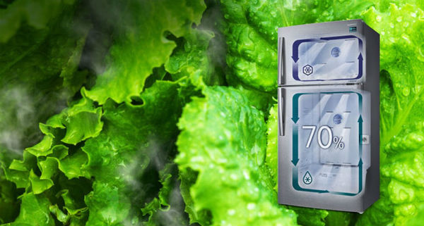 Giữ tươi thực phẩm lên tới 70% trong 10 ngày nhờ tủ lạnh 2 Samsung 2 dàn lạnh