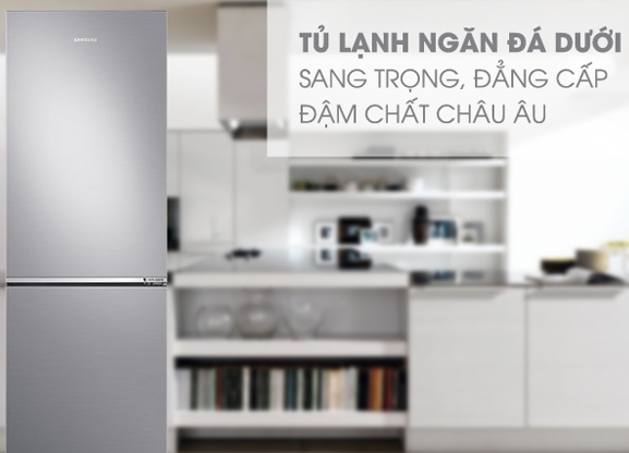 Tủ Lạnh SAMSUNG Inverter 310 Lít RB30N4010S8