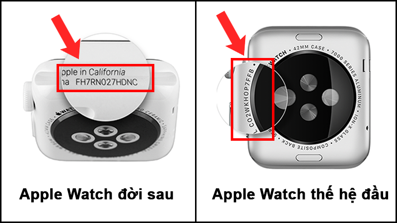 Check-imei-apple-watch