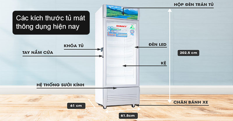Các kích thước tủ mát thông dụng hiện nay.