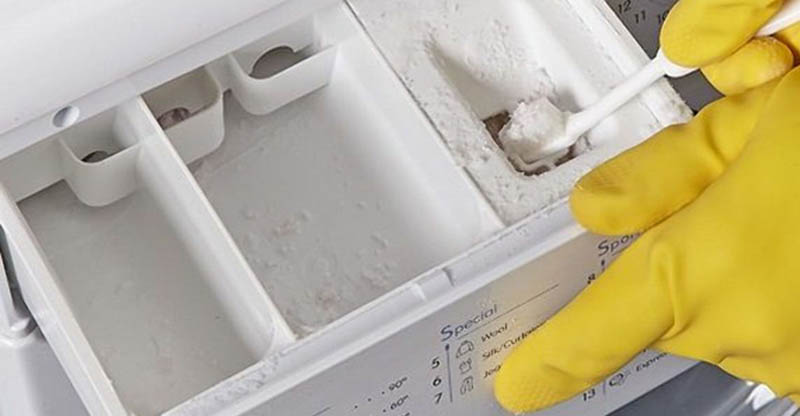 Cần phải vệ sinh hộc detergent định kỳ