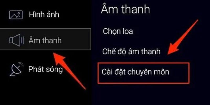Chọn mục Cài đặt chuyên môn trong phần Âm thanh