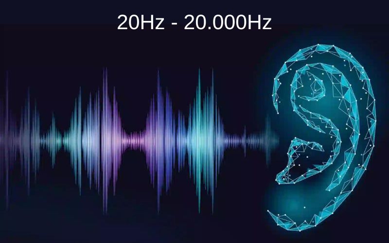 20Hz đến 20.000Hz là dải tần mà tai con người có thể tiếp nhận
