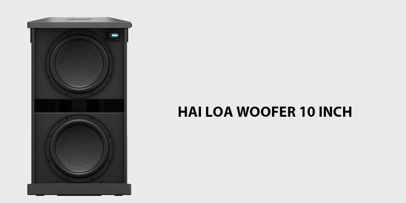 Hai loa woofer 10 inch