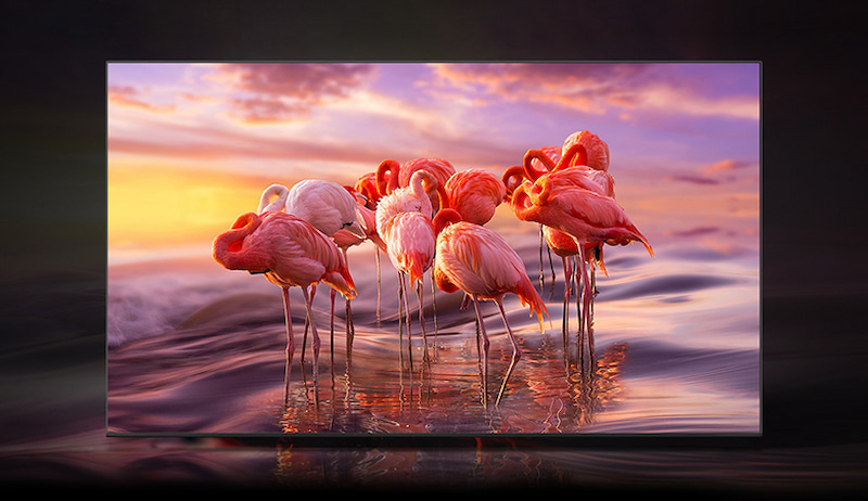Hình ảnh rực rỡ hàng tỷ sắc màu từ Smart Tivi 75 Inch QA75Q70B