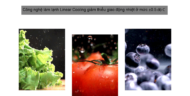 Linear Cooling giảm thiểu giao động nhiệt ở mức ±0.5℃