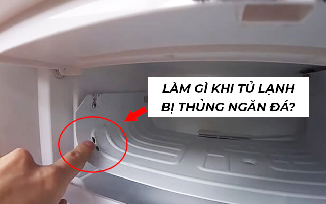 lam gi khi tu lanh bi thung ngan da