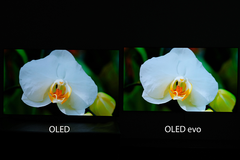 LG OLED evo là gì? Có gì khác biệt so với tấm nền OLED truyền thống?