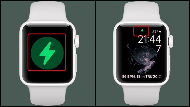 Kiểm tra nguồn sạc Apple Watch