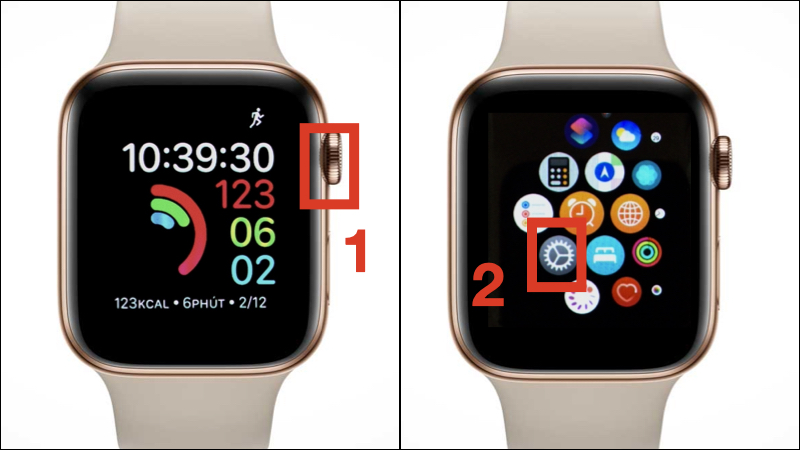 Cách đeo Apple Watch