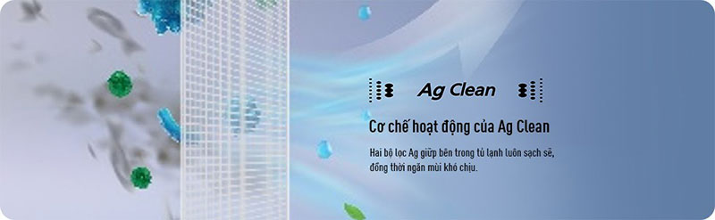 Đánh bay nấm mốc và vi khuẩn bằng ion bạc.