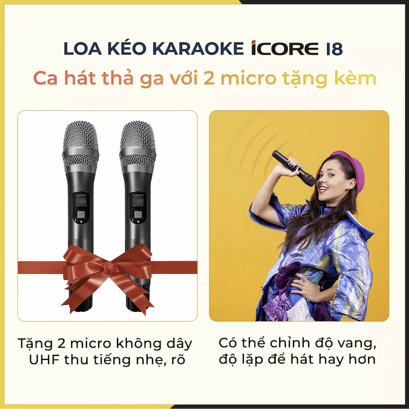 Tặng kèm bộ đôi micro không dây cao cấp