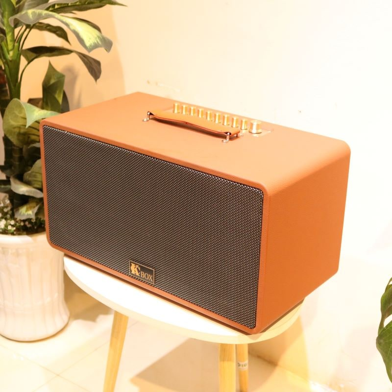 loa kéo mini