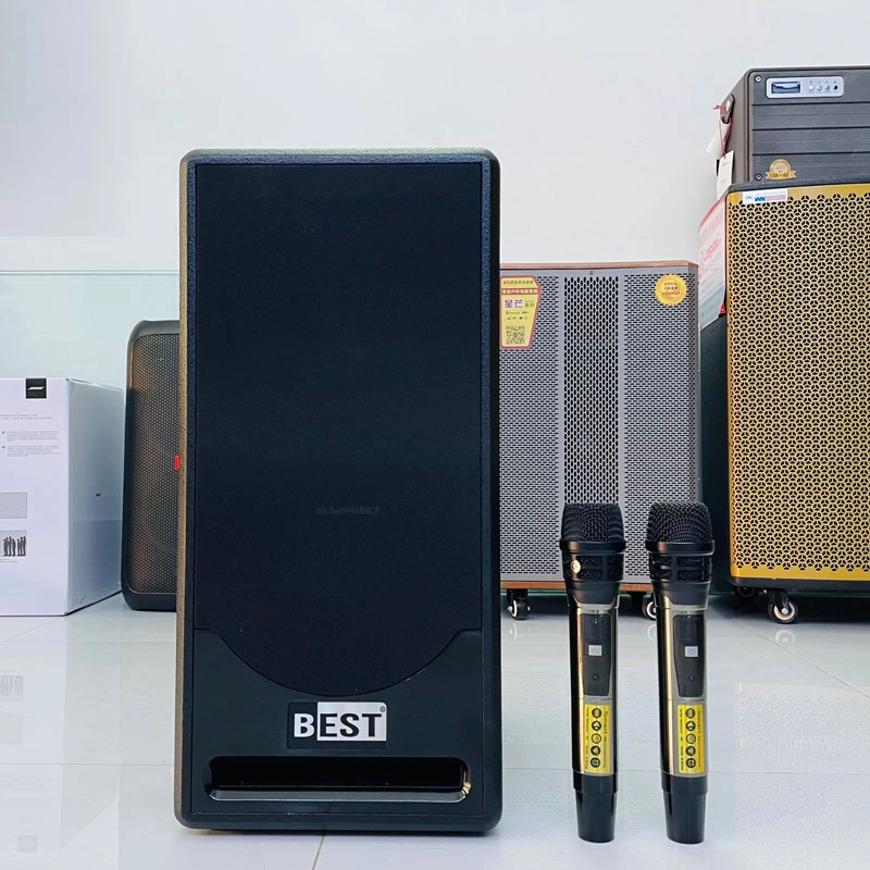loa kéo mini