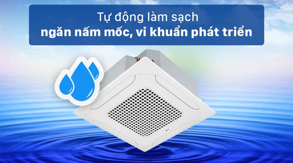 Tự động làm sạch kháng khuẩn 