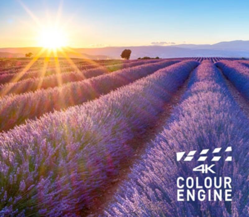 Công nghệ 4K Colour Engine hiển thị màu sắc sinh động hơn