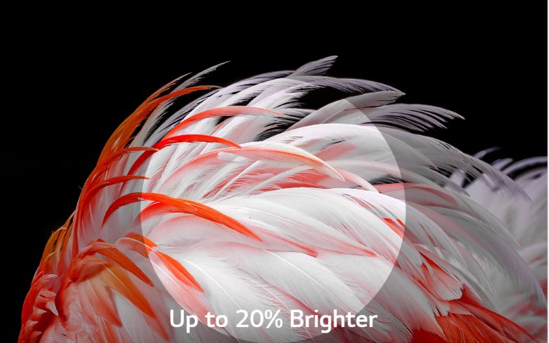 Tivi LG OLED 4K 48C2PSA có thể tăng cường thêm 20% độ sáng cho khung hình