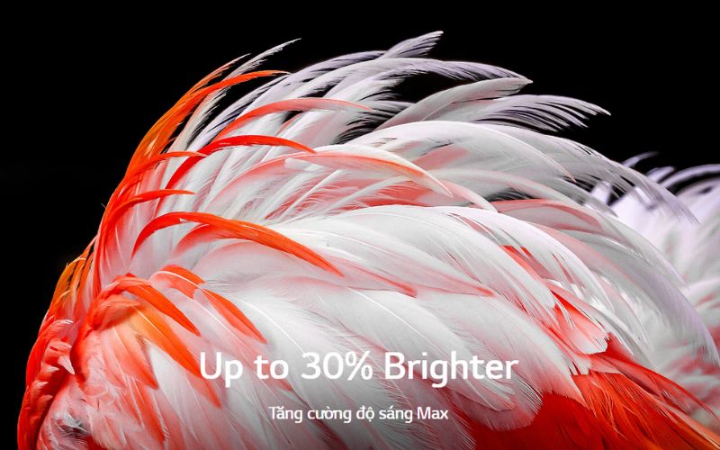 Màn hình LG OLED 4K 65 Inch 65G2PSA tăng cường 30% độ sáng
