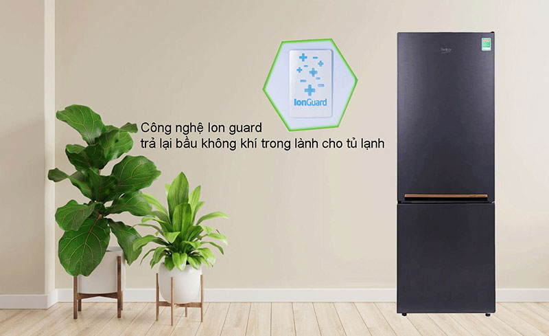 Công nghệ Ion guard trả lại bầu không khí trong lành cho tủ lạnh