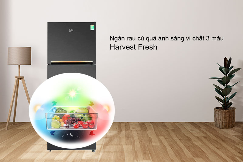 Ngăn rau củ quả ánh sáng vi chất 3 màu Harvest Fresh