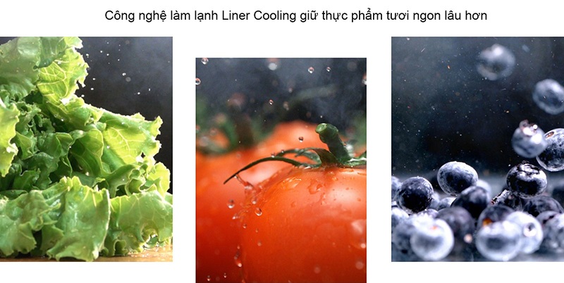 Công nghệ làm lạnh Liner Cooling giữ thực phẩm tươi ngon lâu hơn