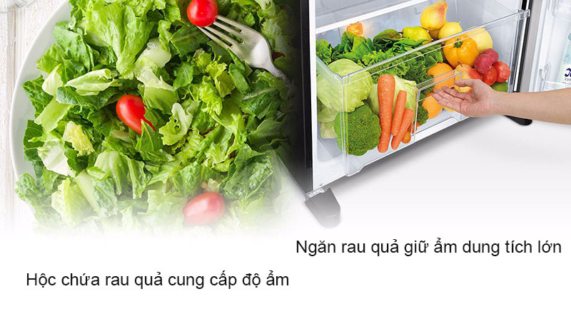 "Nhà máy Vitamin C" giúp tăng lượng Vitamin C trong rau củ quả