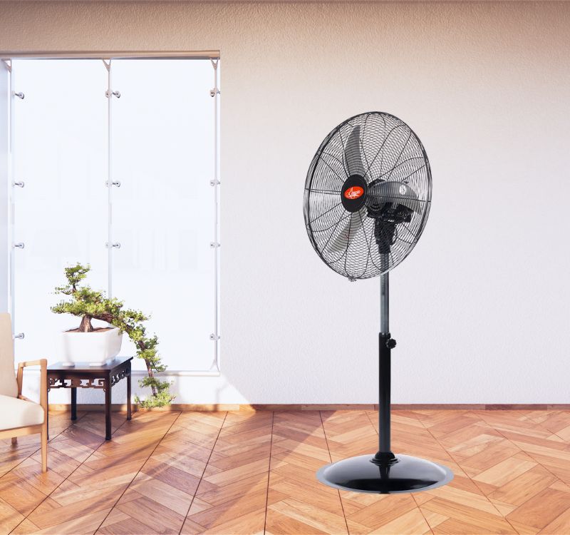Limpio DSI-2460 có thiết kế hiện đại