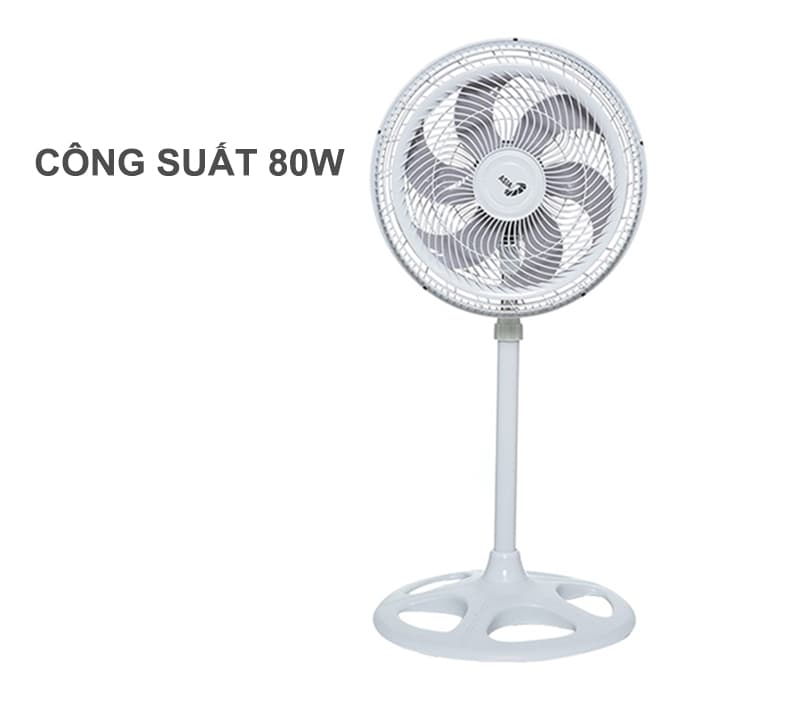 Quạt đứng Asiavina VY639990 hoạt động với công suất 80W