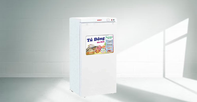 Tủ Đông Sanaky 118 Lít VH 160VD